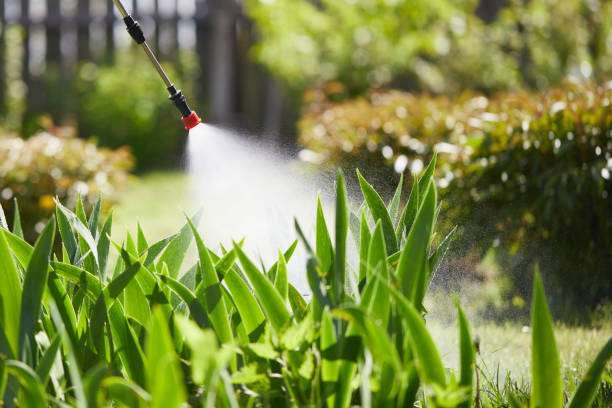 24/7 Emergency Wasp Removal experts in Creve Coeur, IL