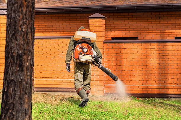 Top rated local Wasp Removal specialists in Creve Coeur, IL